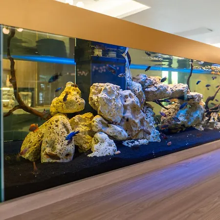 Crowne Plaza Constanta - By Ihg Hotel 4*